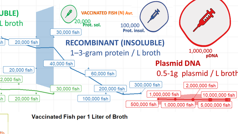 PhD Thesis - Efficacy and Immunogenicity of Vaccines Made from Recombinant Protein and Plasmid DNA Technologies for the Prevention of Diseases Caused by *Streptococcus iniae* in Asian Seabass (*Lates calcarifer*)